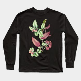 Tradescantia zebrina - Revue horticole - Botanical Illustration Long Sleeve T-Shirt